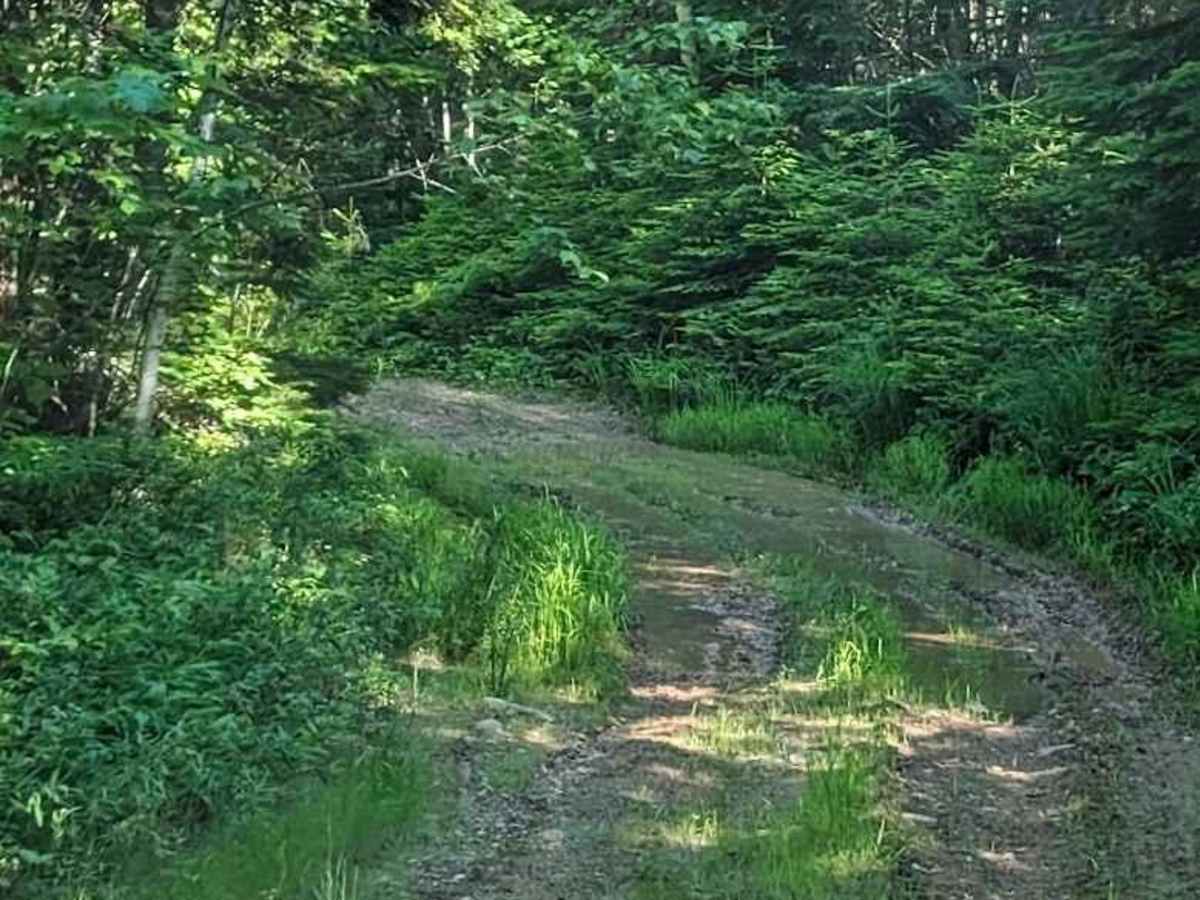 Sunshine Side Loop photo 2