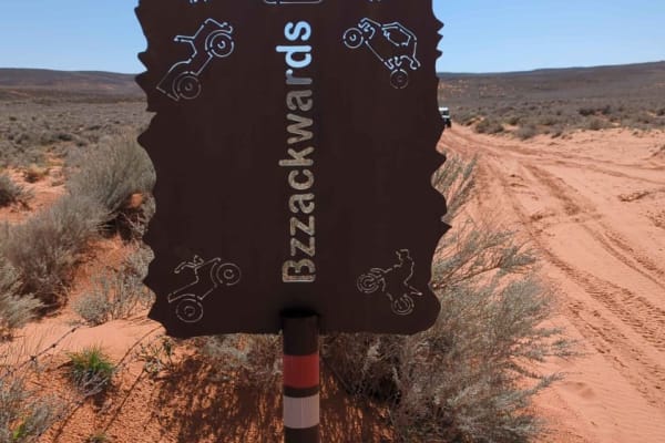Bzzackward