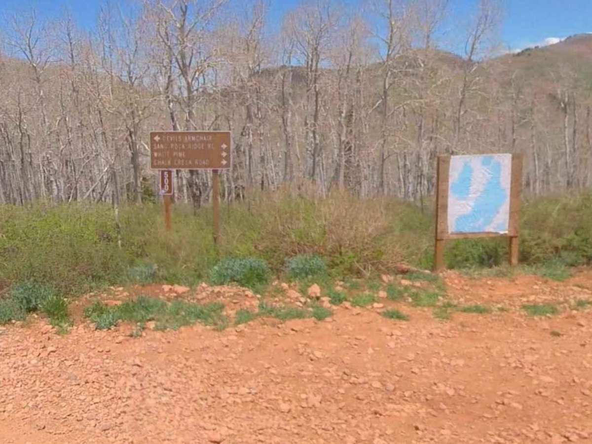 Goat Springs-Devil's Arm Chair-FSR40500 photo 2