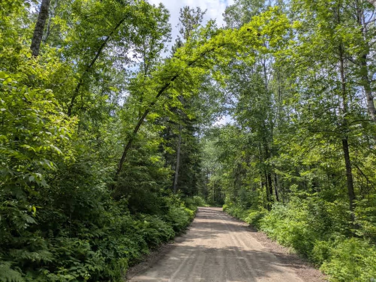 West Spider Lake Drive photo 6