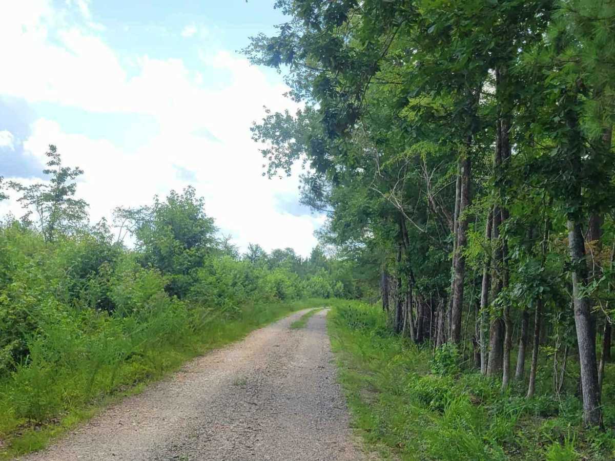 Horn Creek (638) via Prescott Road photo 5