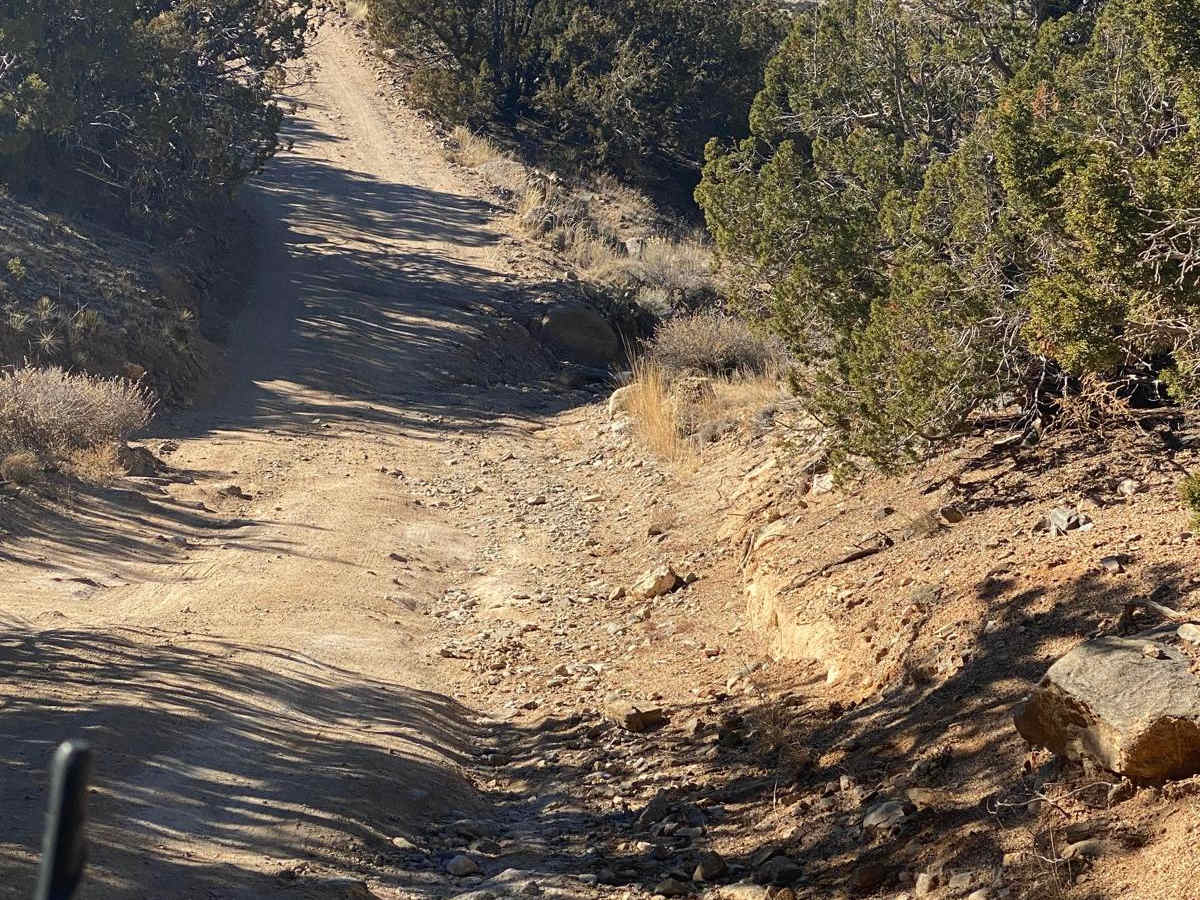 Forest Loop Road 445 photo 3