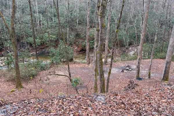 Roseboro Road - FS 981