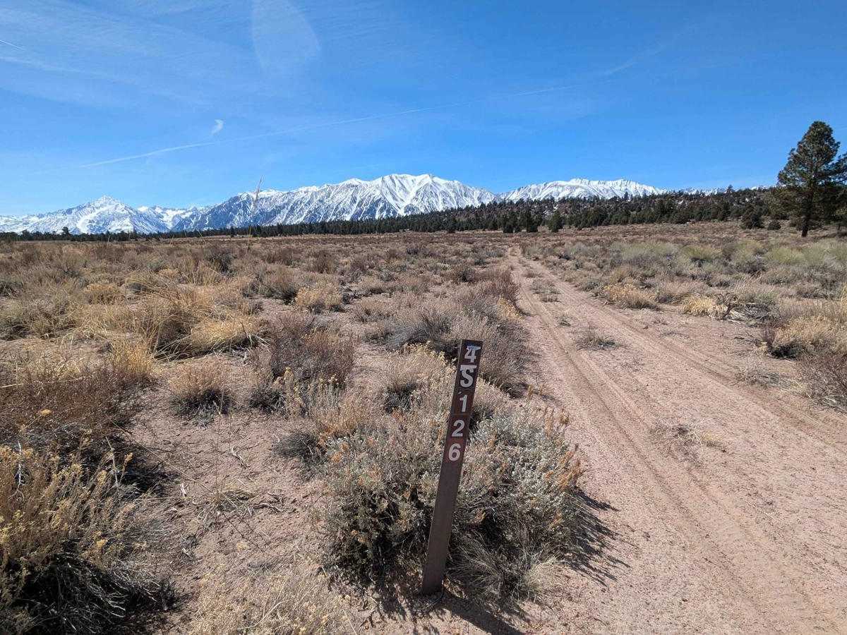FS 4S126 trail photo