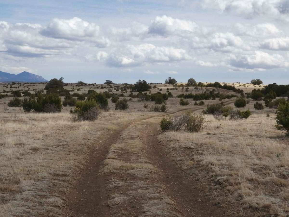 Cactus Canyon photo 2