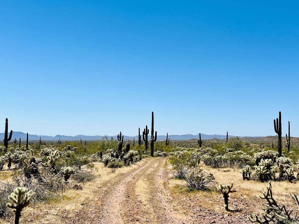 BLM 9064 trail photo