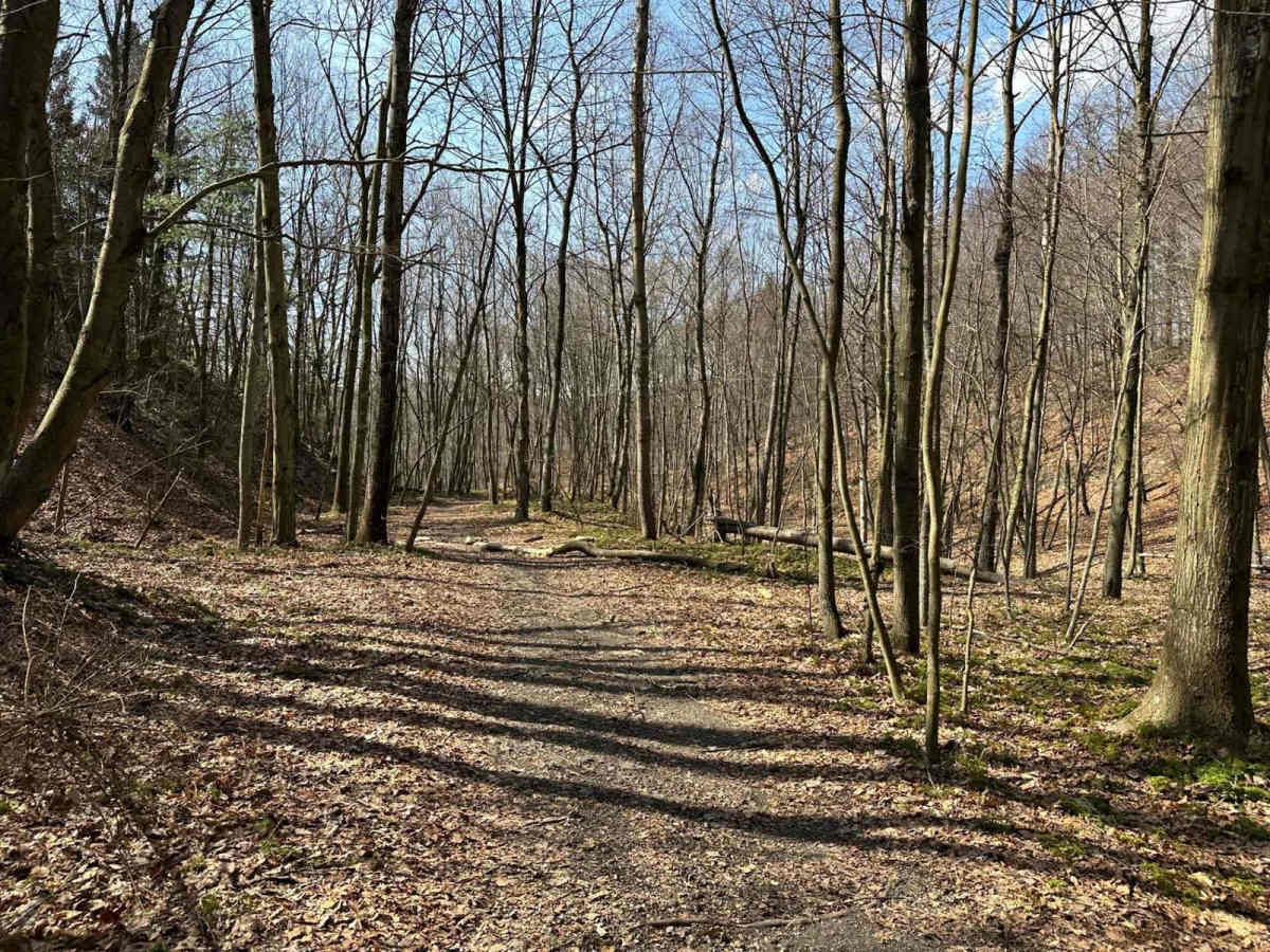 Ashland 25 photo 3