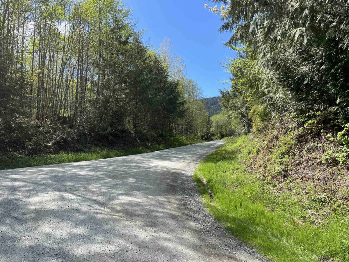 Blanchard Mountain trail photo