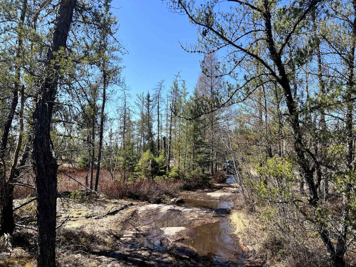 Pit Lake photo 5