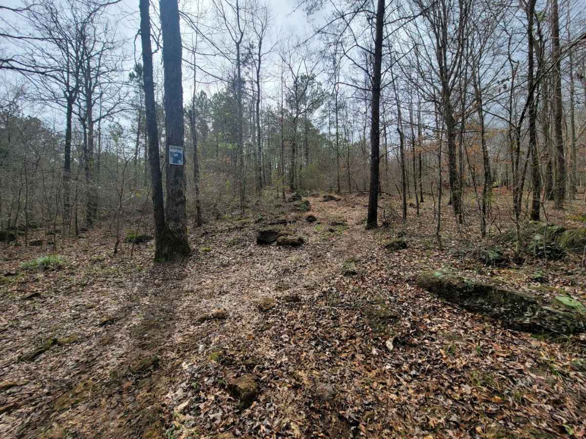 Woodpecker Lips trail photo