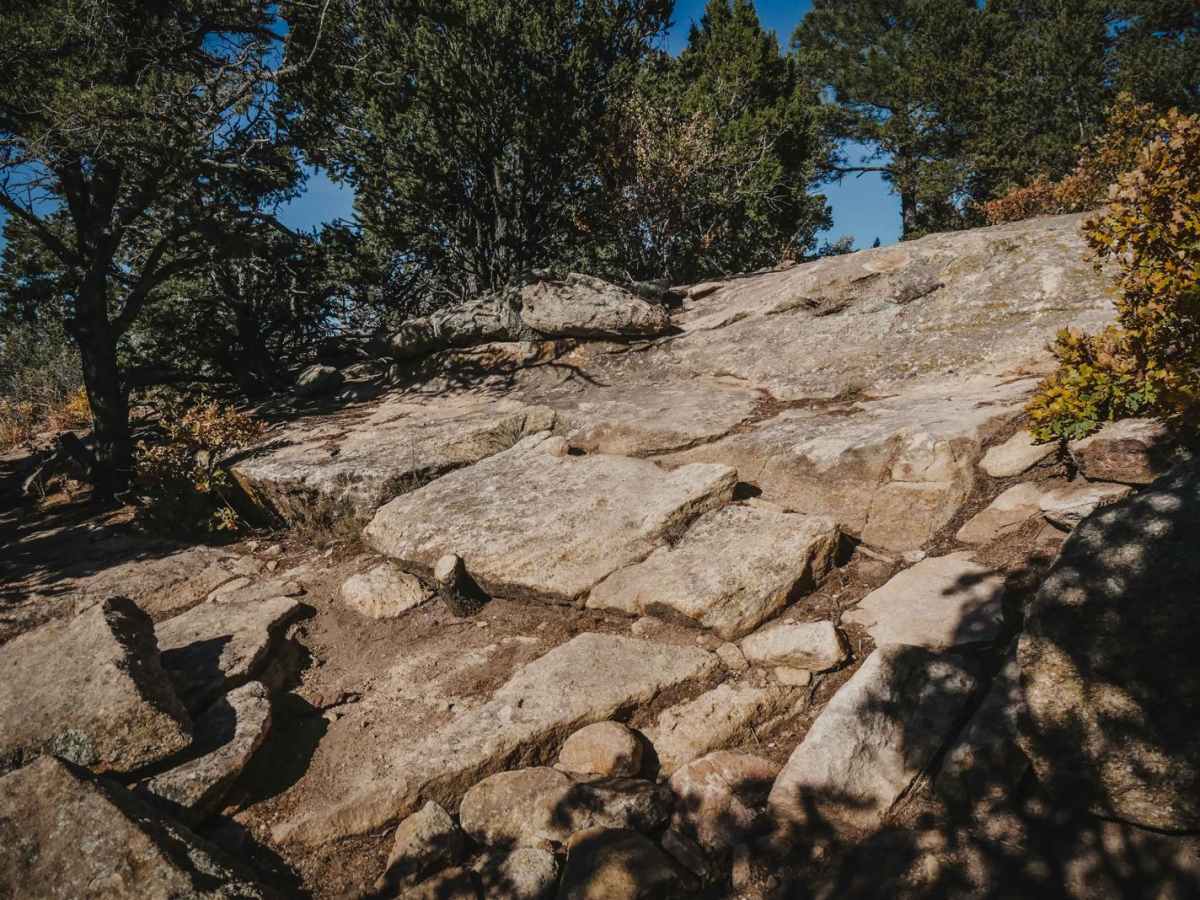 Meadow trail photo