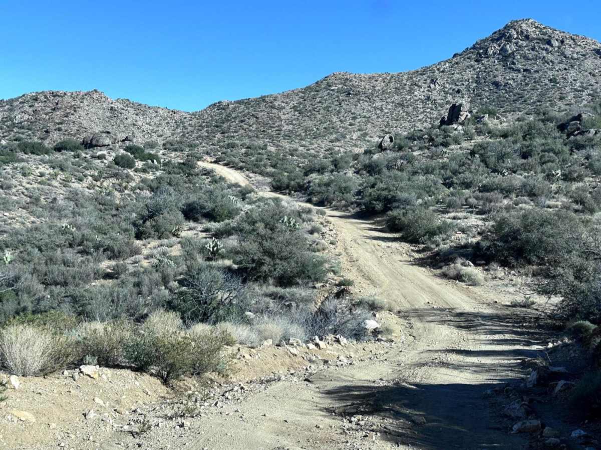 BLM 7252 photo 4