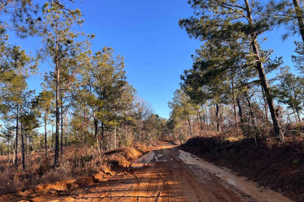 North Fork Road