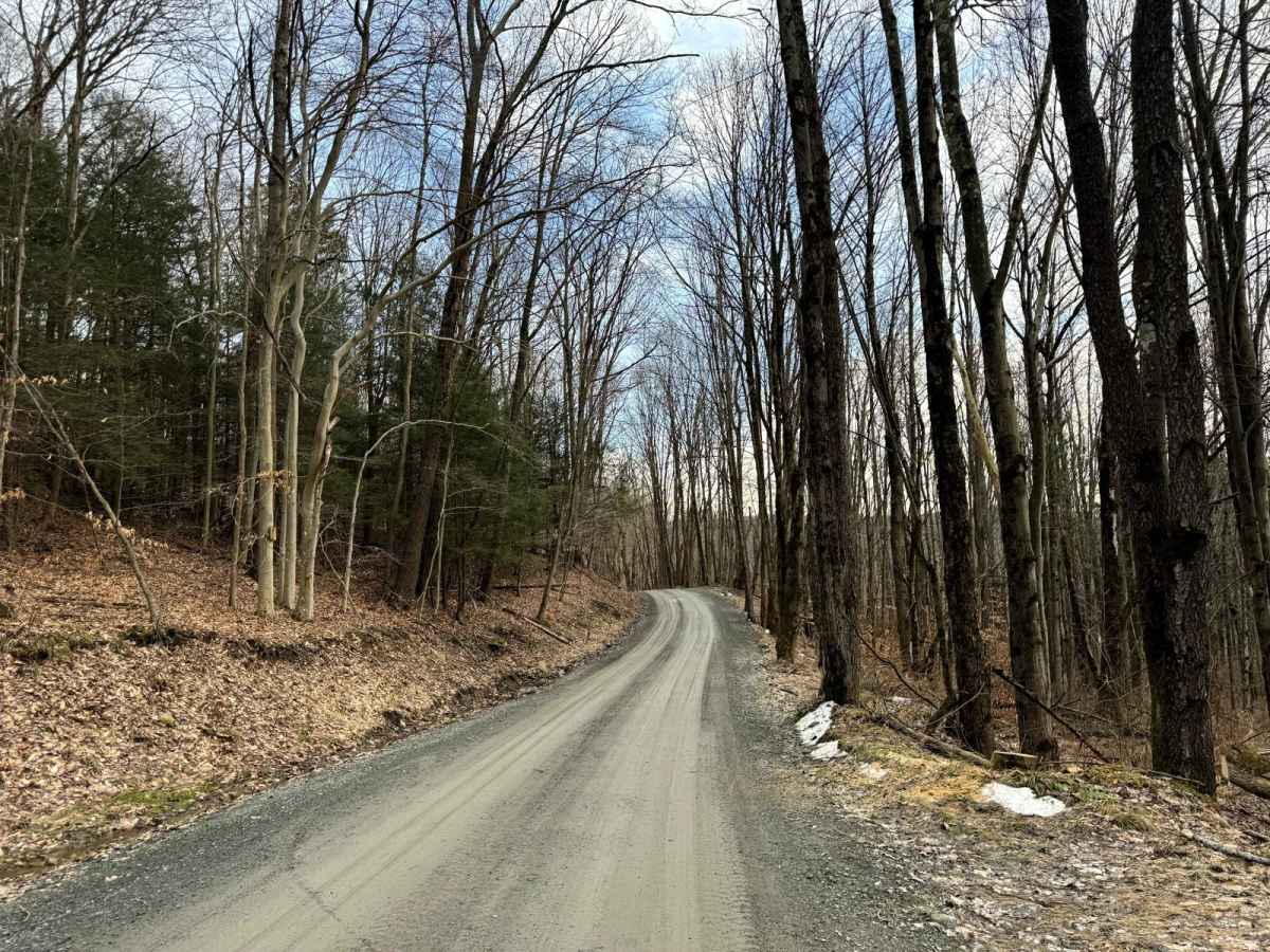 Kelly Road photo 3