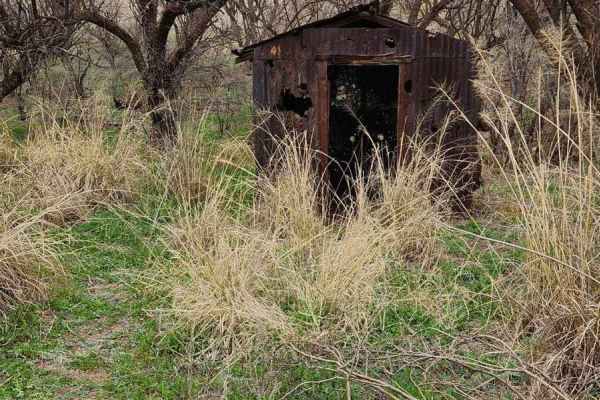 Forty Nine Wash Trail