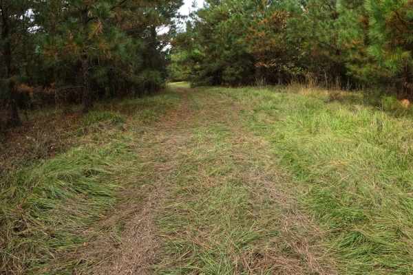 Strickland Drive