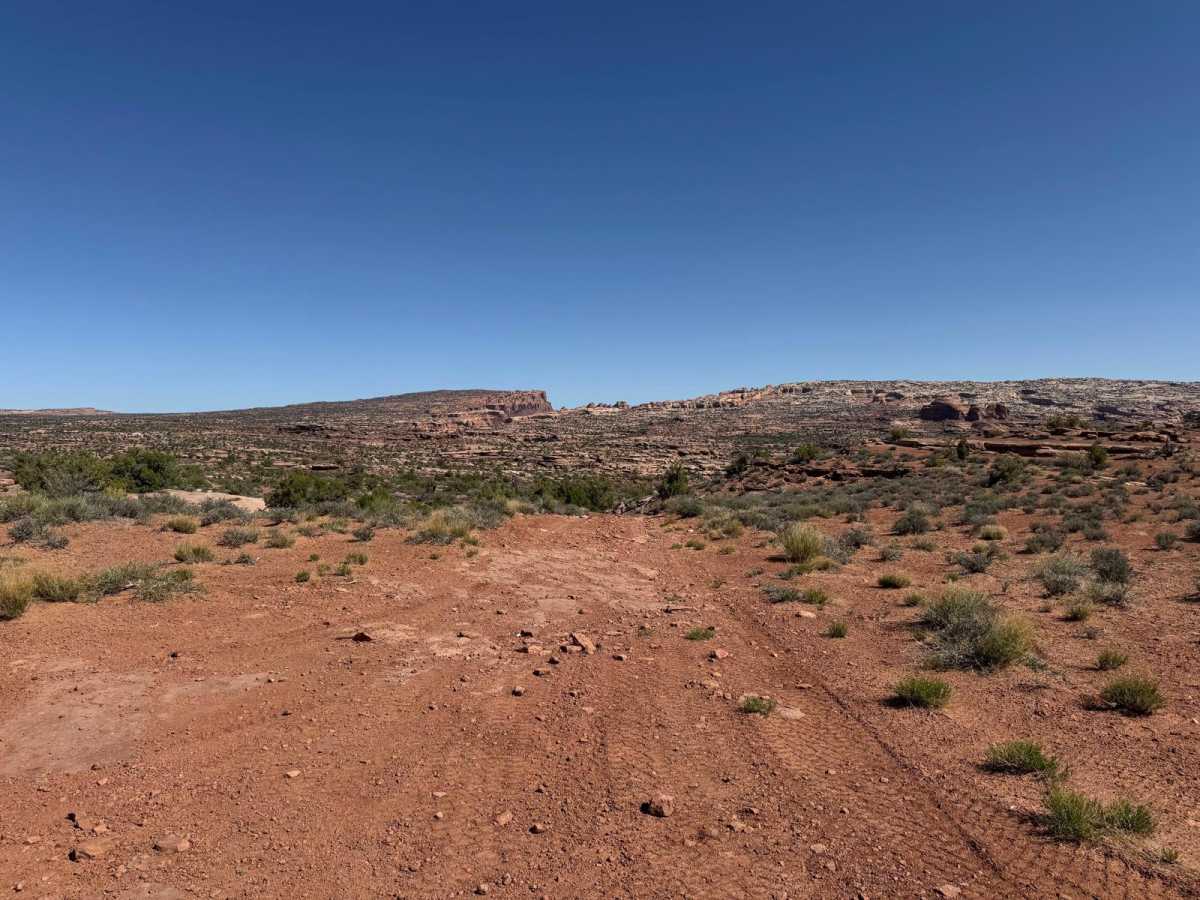 Little Canyon Trail trail photo