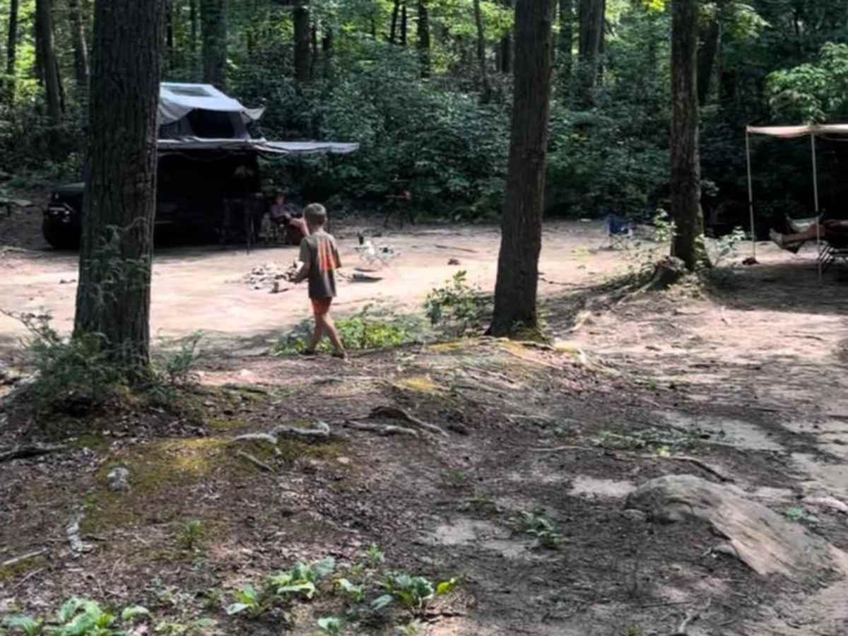 Clear Creek (FSR 185) photo 4