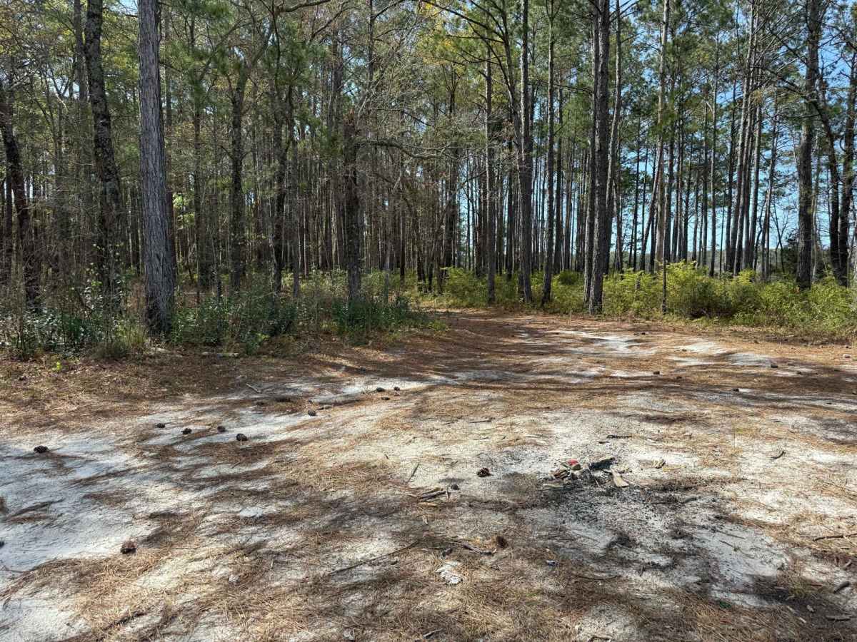 Pettiford Creek Trail 11 photo 3
