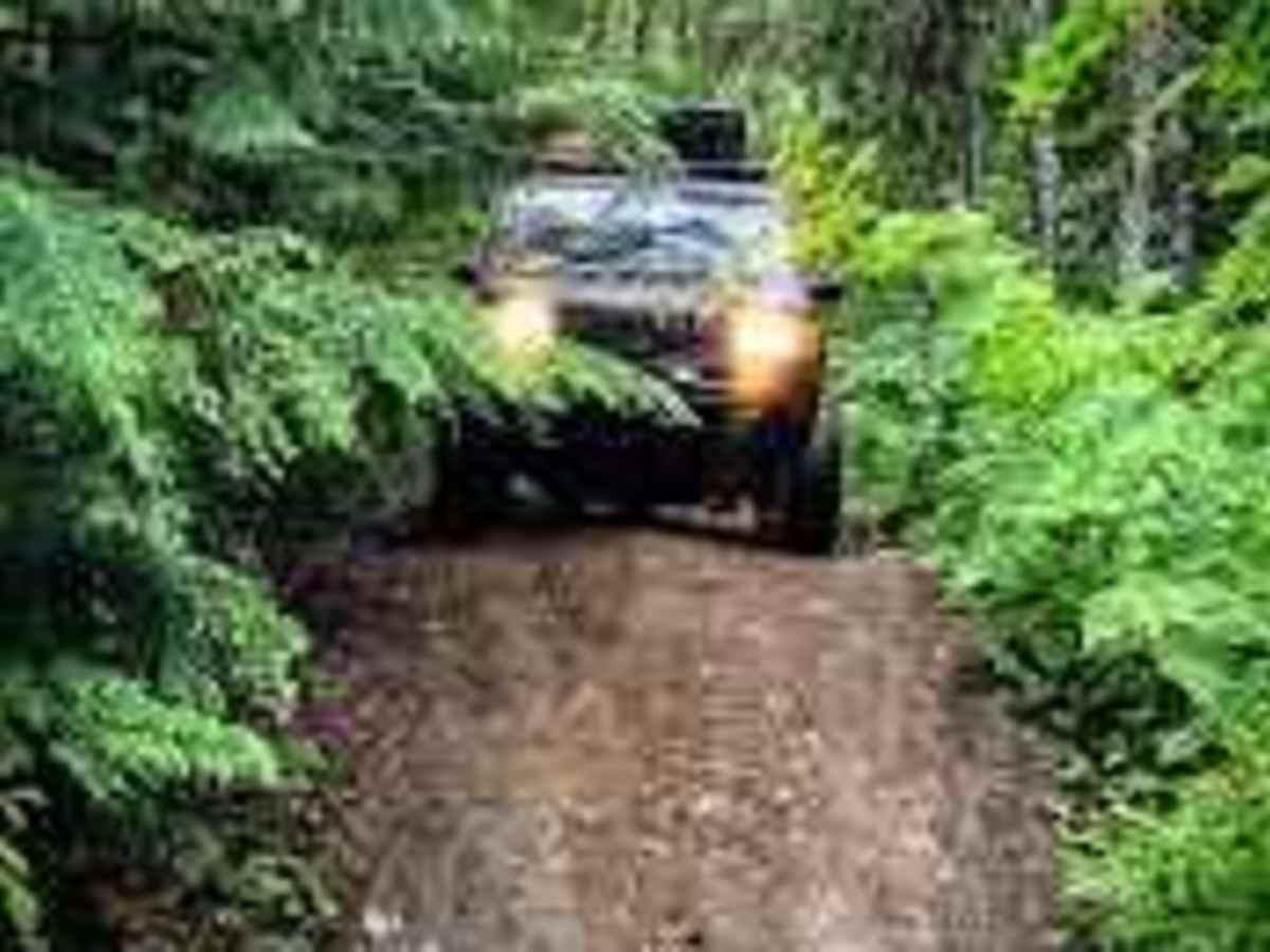 Kachess Lake Labyrinth - FS4828 photo 4