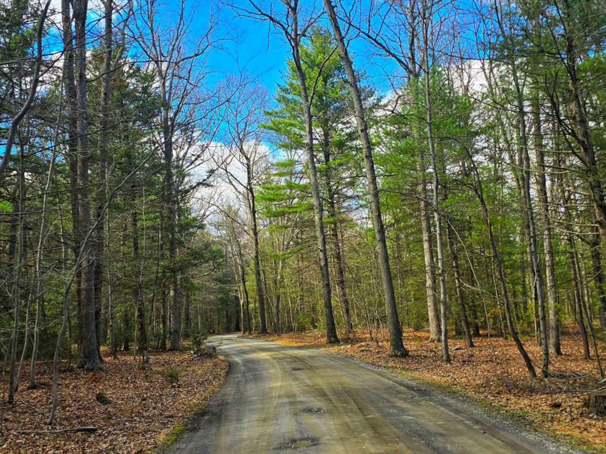 Carbaugh Road photo 3