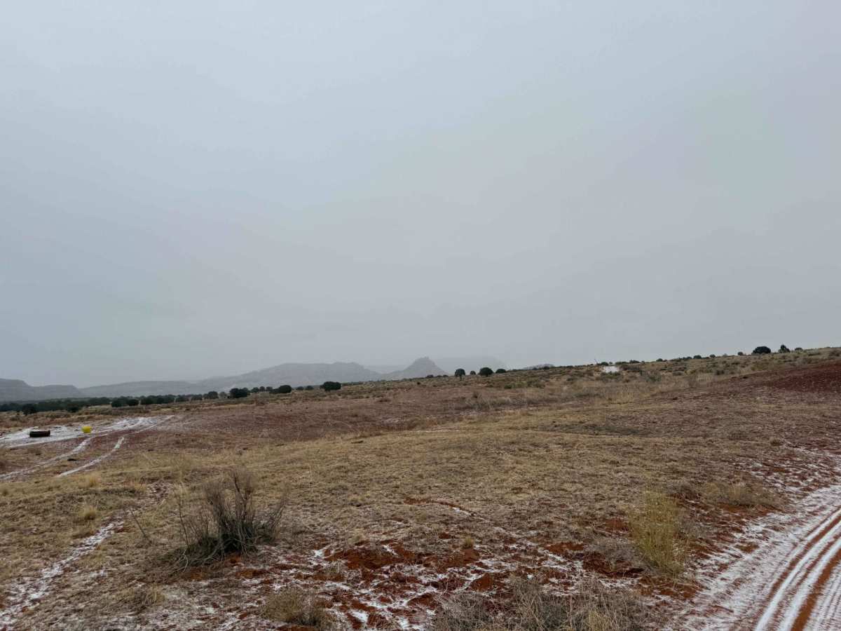 BLM M0000-M4186 photo 6