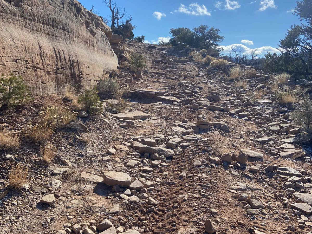 BLM Route 31 photo 2