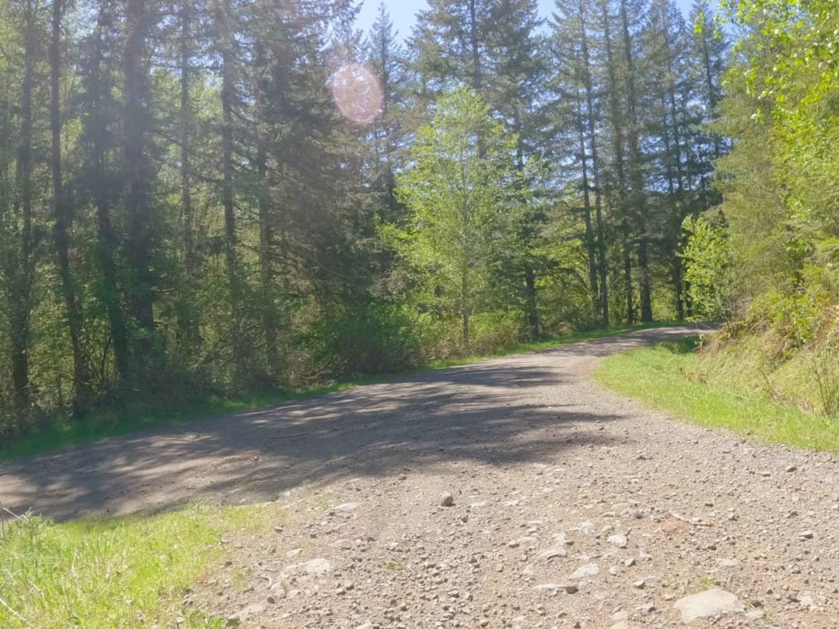 ZigZag Road - South photo 6