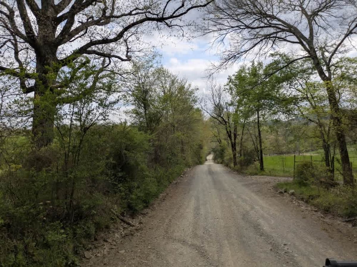 Clearwater Road photo 2
