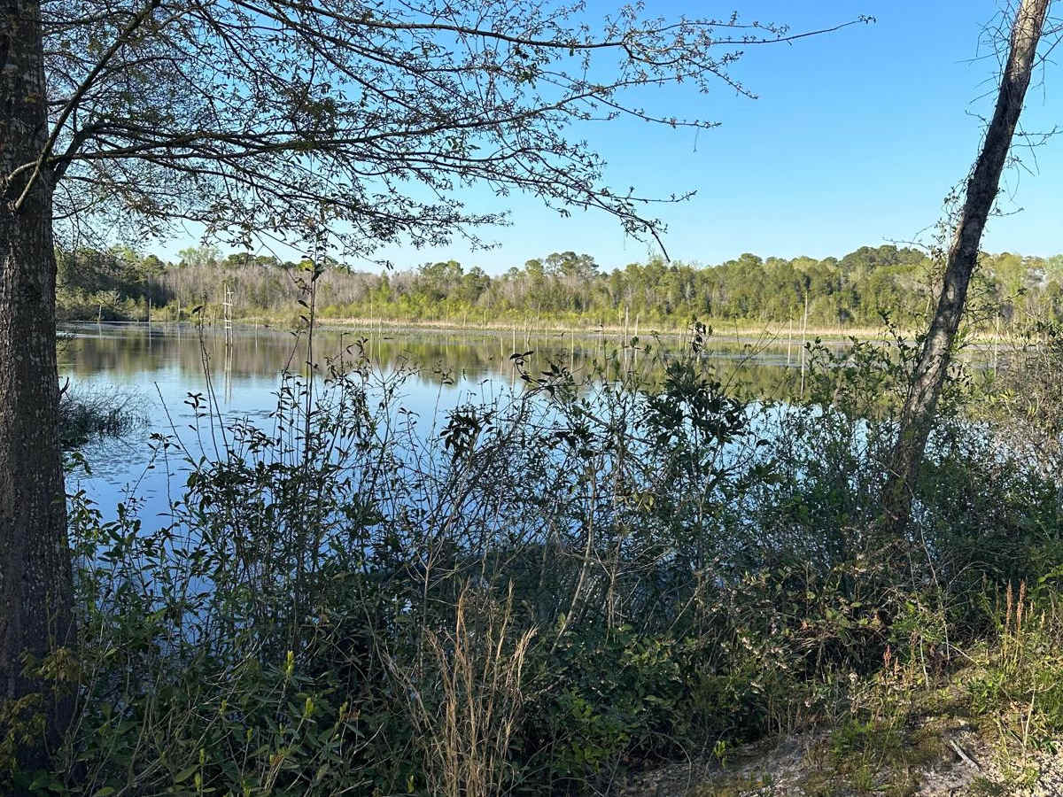 Elbert Taylor Road trail photo