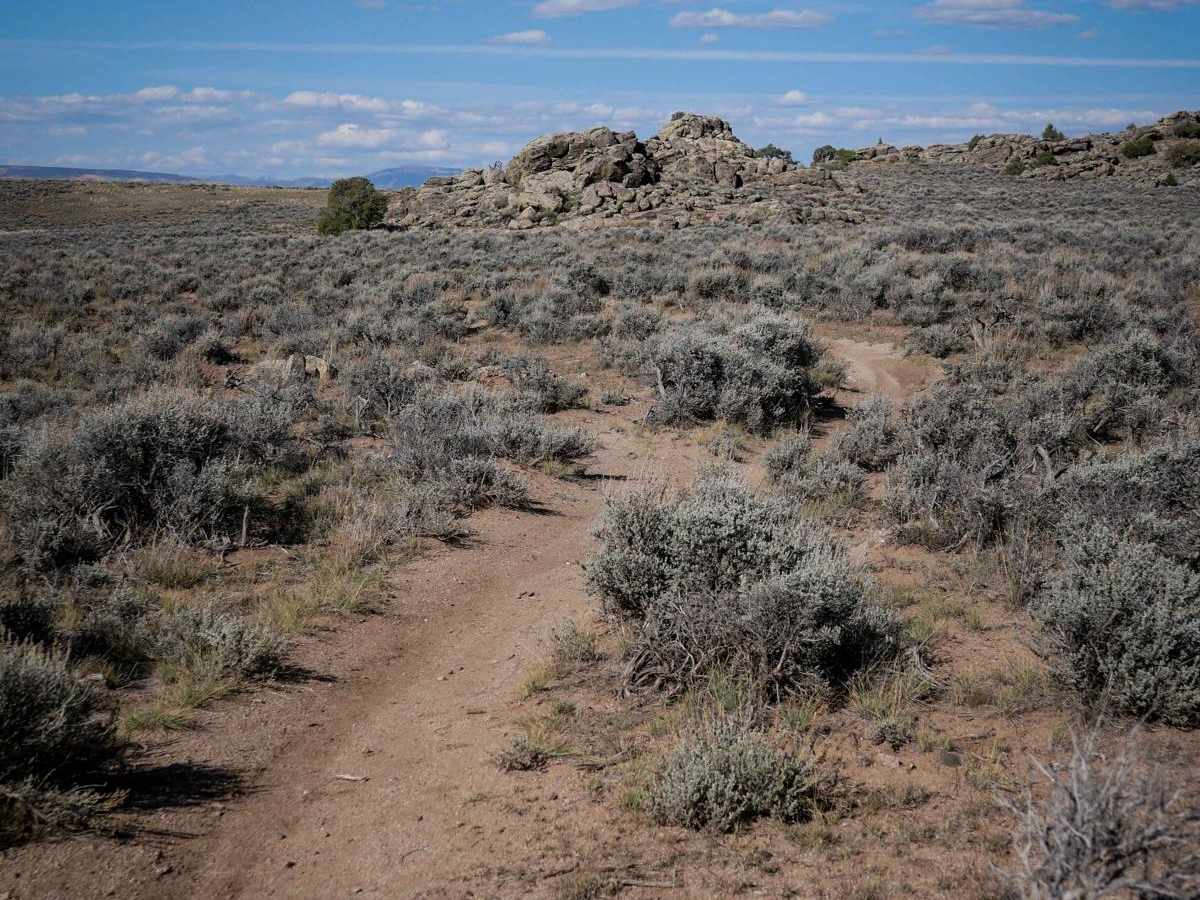 Sawtooth photo 6