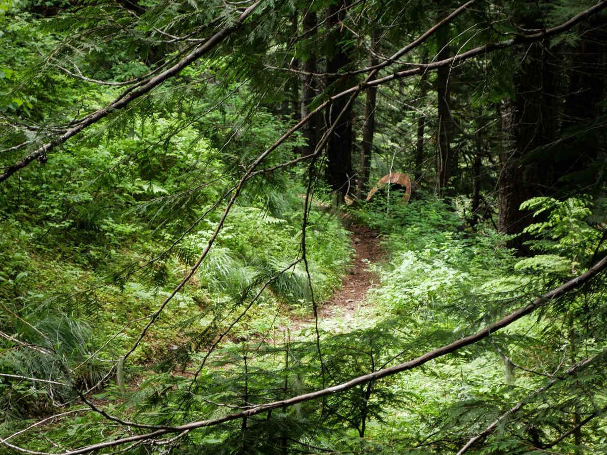 Prospect photo 5