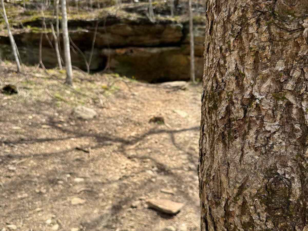Trail 24 photo 2