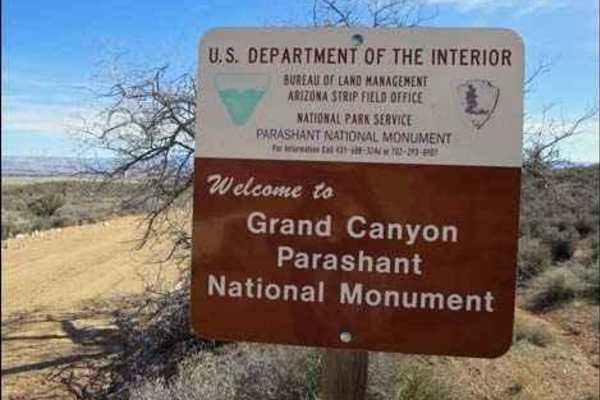 Little Oak Spring Road BLM 1029
