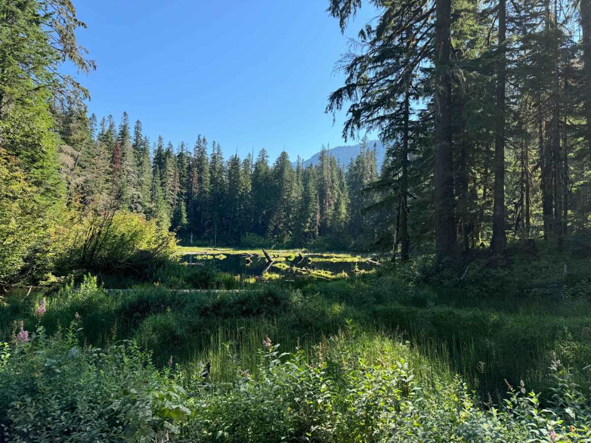 Mountain Loop photo 6