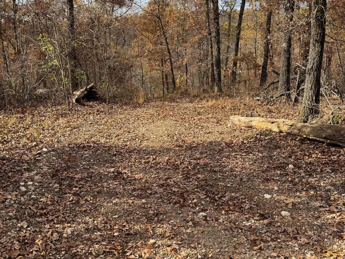 Red 204 trail photo