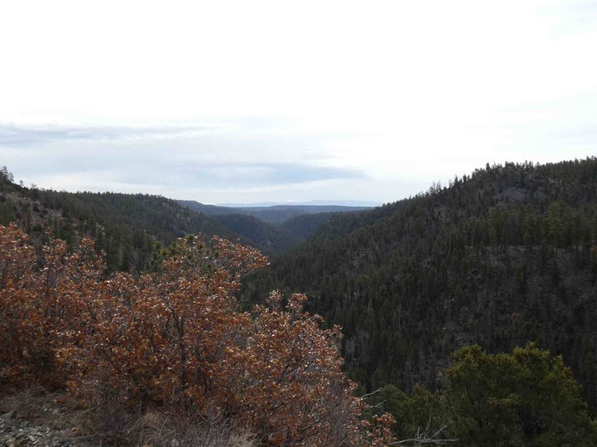 Vallecitos Pass trail photo
