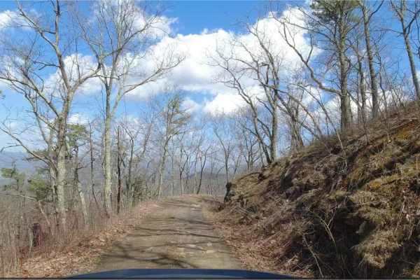 Hite Hollow