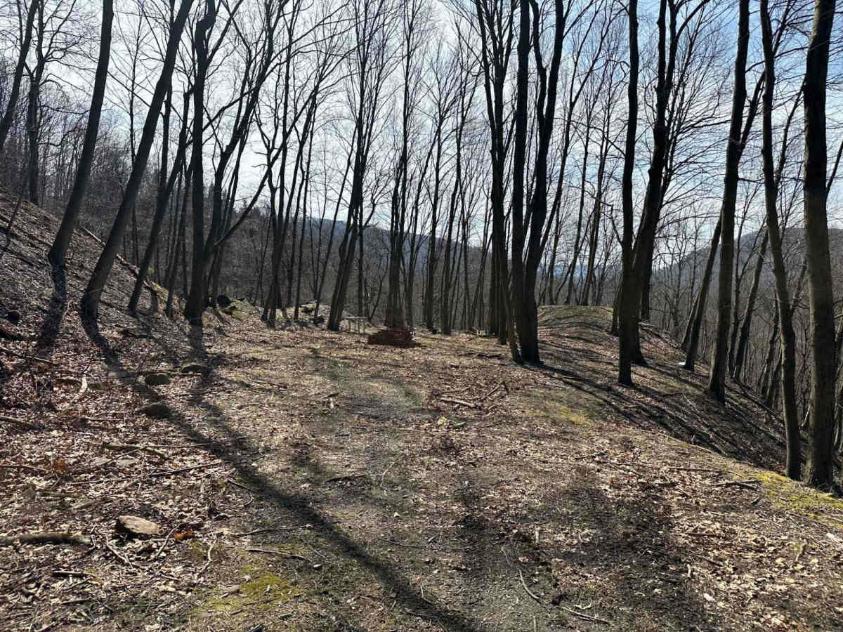 Ashland 107 photo 3