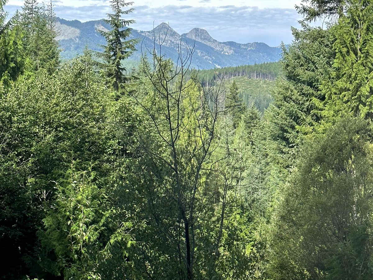 Alder Ridge Loop photo 6