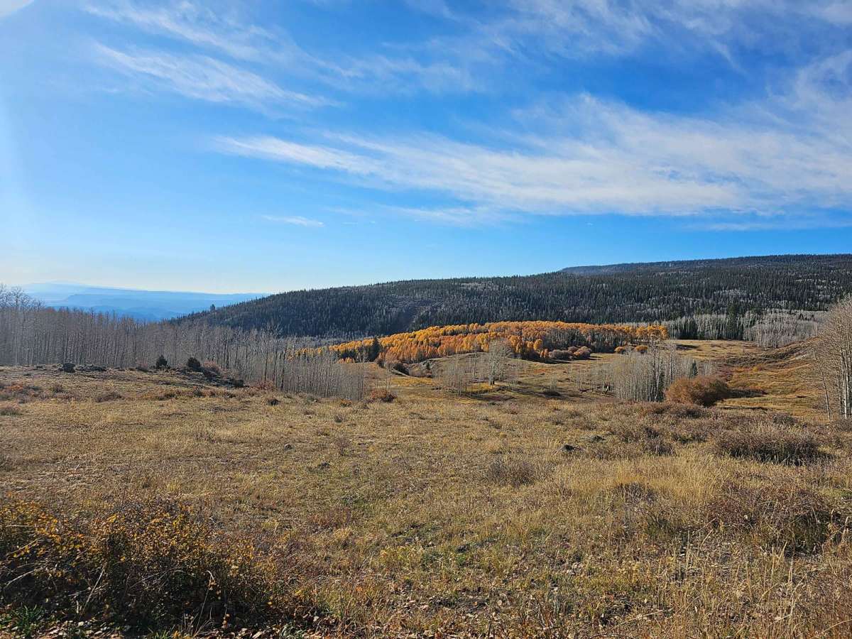 North Creek Road photo 3