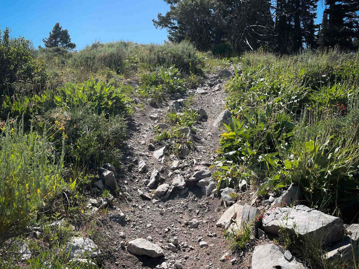 Twin Creek photo 2