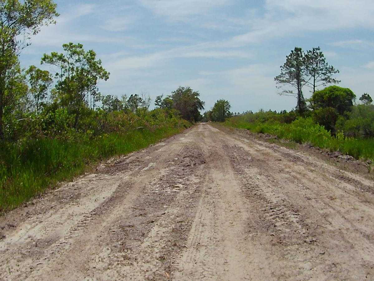 North Canal Road photo 2