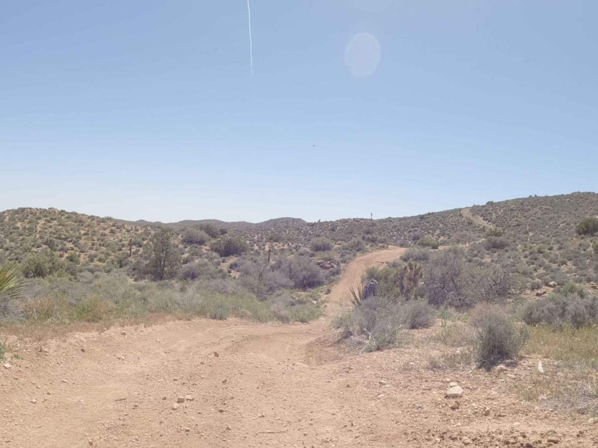 Spur - BLM C2317 photo 3
