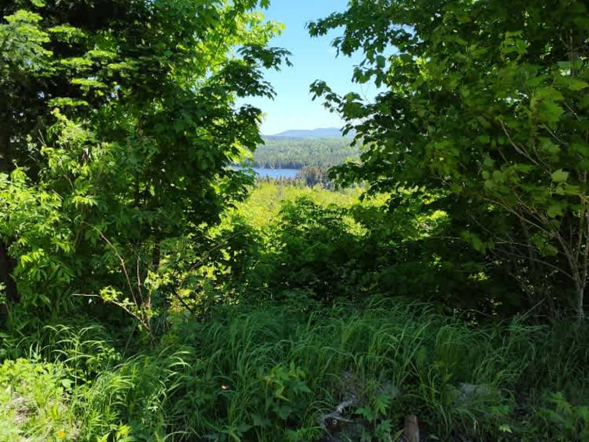 New Hampshire Border into Maine photo 2
