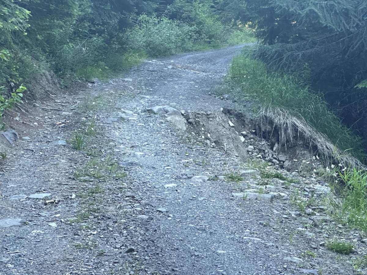 Horse Creek Trail photo 2