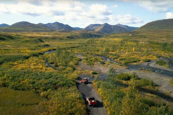 Denali Border