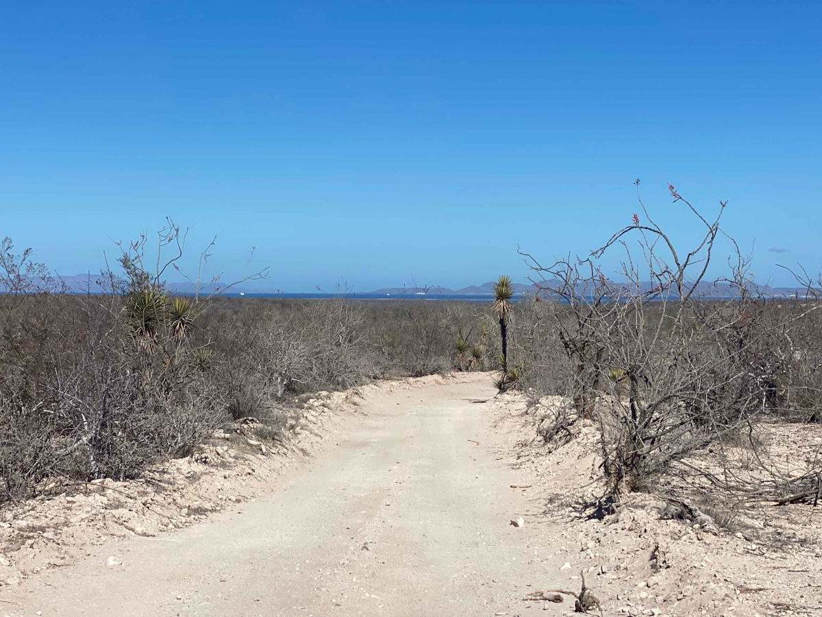 Lopez Loop photo 5