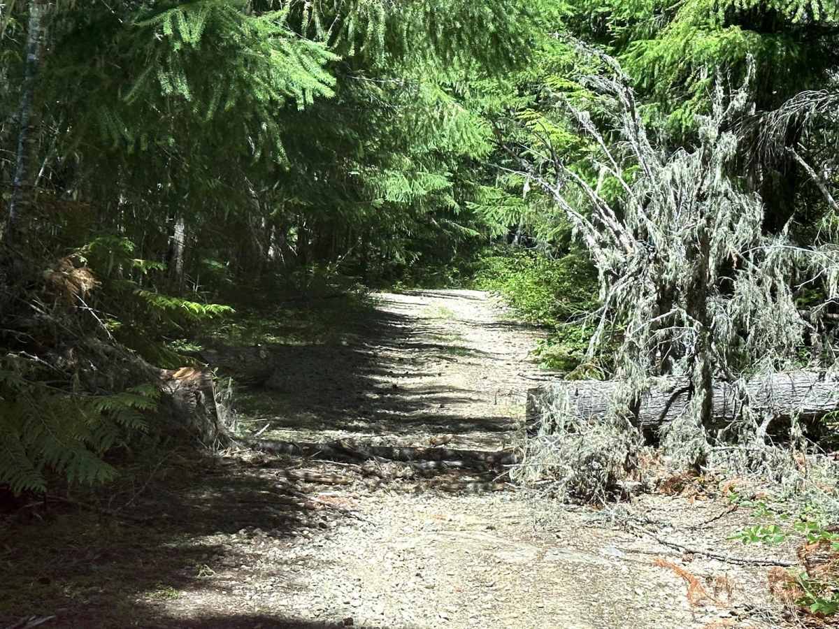 Hager Lake to Packwood Lake photo 6