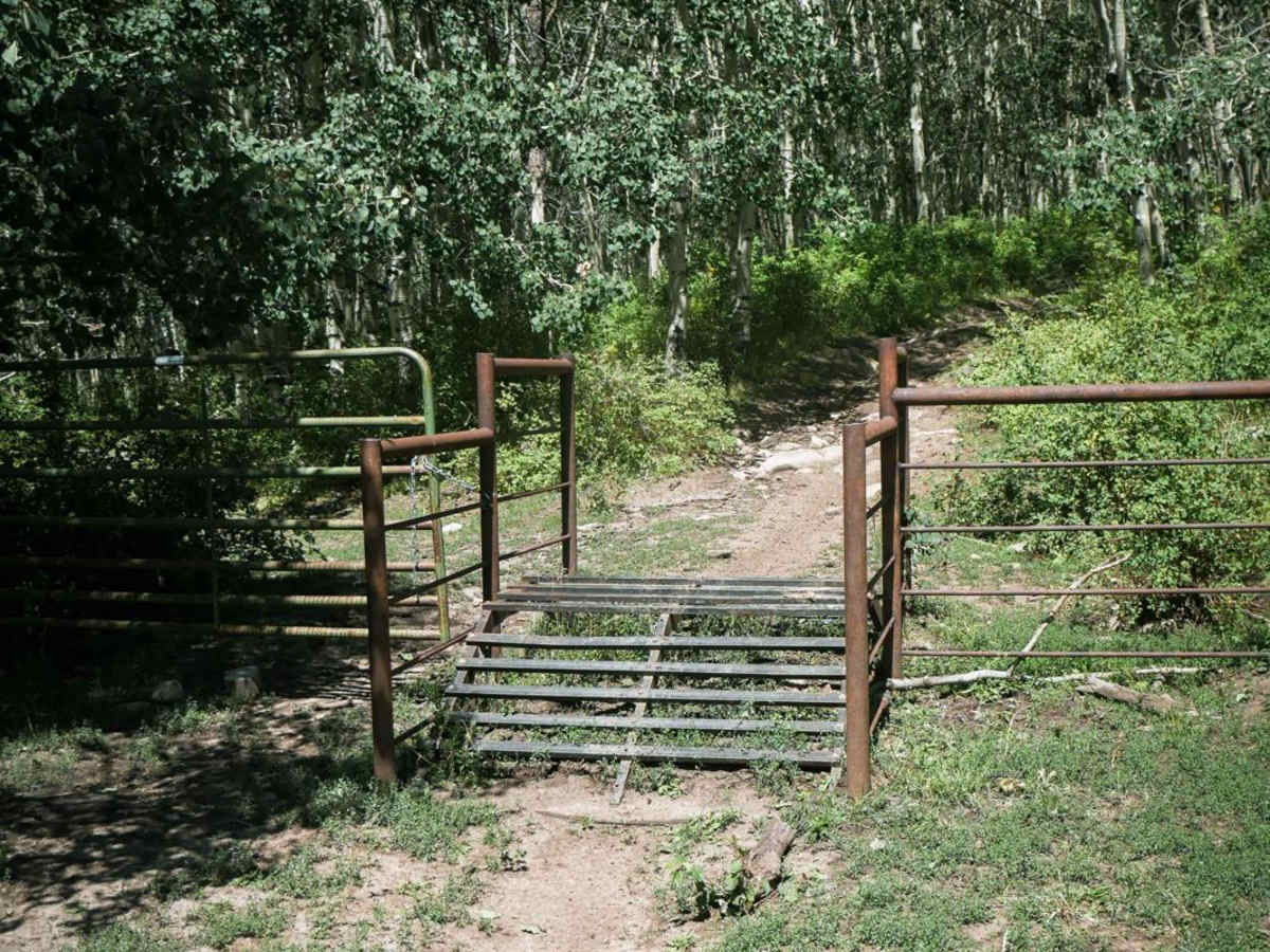 Ramparts Loop photo 6